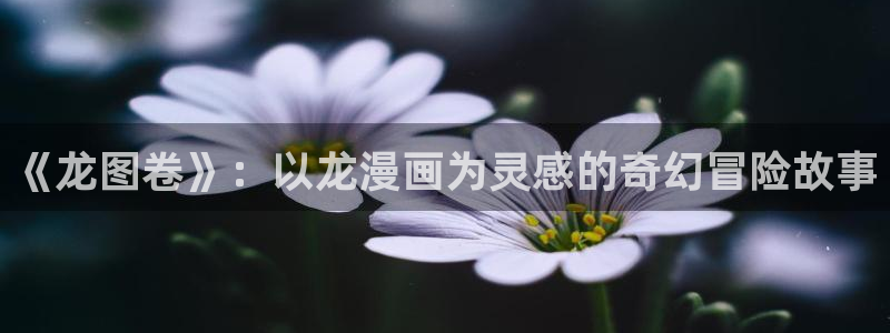 酷漫屋官网：《龙图卷》：以龙漫画为灵感的奇幻冒险故事