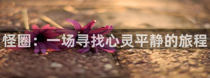 酷漫屋漫画：怪圈：一场寻找心灵平静的旅程