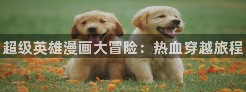酷漫屋网入口页面