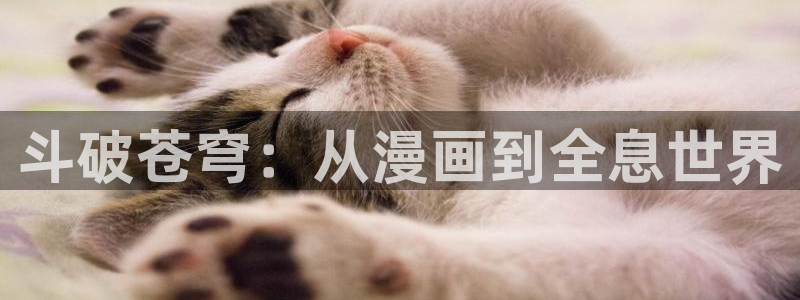 酷漫屋电影在线播放：斗破苍穹：从漫画到全息世界