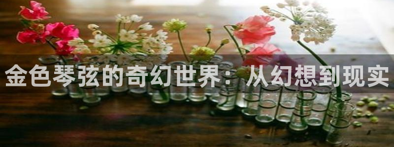 酷漫屋：金色琴弦的奇幻世界：从幻想到现实