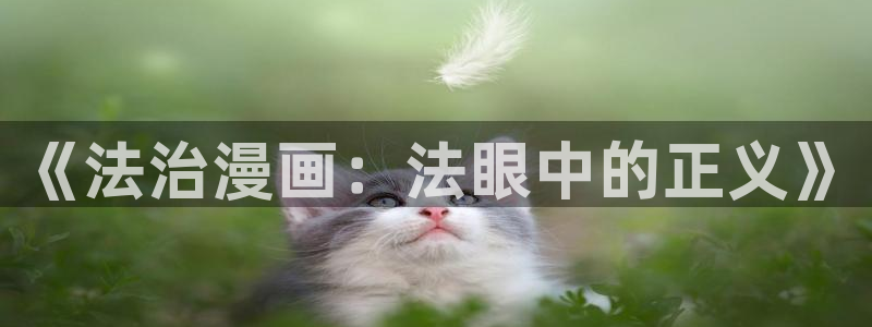 酷漫屋漫画免费漫画页面在线看漫画下载：《法治漫画：法眼中的正义》